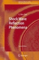 Gabi Ben-Dor - Shock Wave Reflection Phenomena, Inbunden