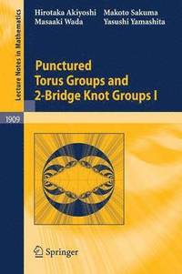 bokomslag Punctured Torus Groups and 2-Bridge Knot Groups (I)