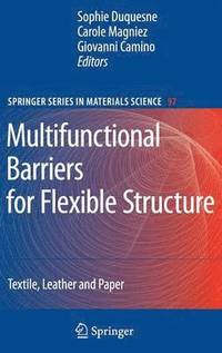 bokomslag Multifunctional Barriers for Flexible Structure