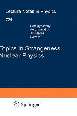 bokomslag Topics in Strangeness Nuclear Physics