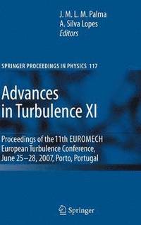 bokomslag Advances in Turbulence XI