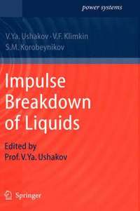 bokomslag Impulse Breakdown of Liquids