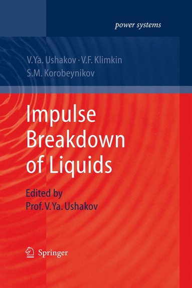 bokomslag Impulse Breakdown of Liquids