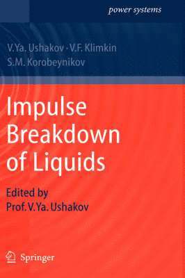 Impulse Breakdown of Liquids 1