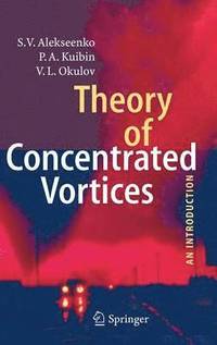 bokomslag Theory of Concentrated Vortices