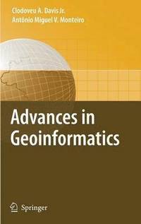 bokomslag Advances in Geoinformatics