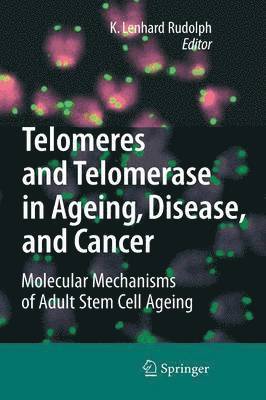 bokomslag Telomeres and Telomerase in Aging, Disease, and Cancer