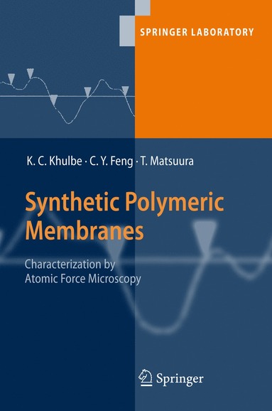 bokomslag Synthetic Polymeric Membranes