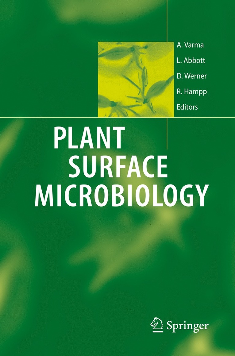 Ajit Varma, Lynette Abbott, Dietrich Werner, Rüdiger Hampp - Plant Surface Microbiology, Häftad