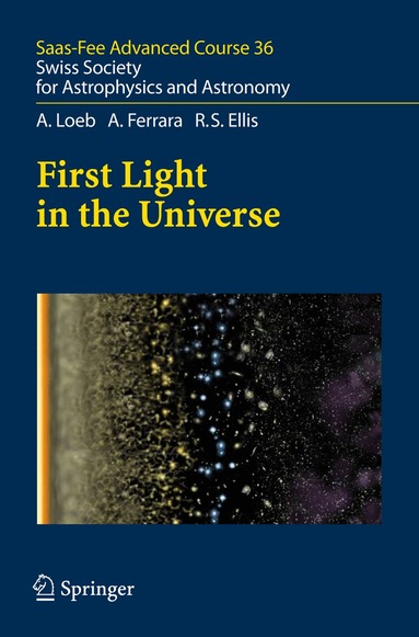 Abraham Loeb, Andrea Ferrara, Richard S. Ellis, Daniel Schaerer, Angela Hempel, Denis Puy - First Light in the Universe, Inbunden