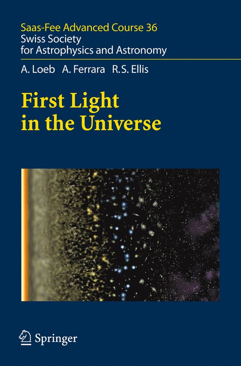 First Light in the Universe 1