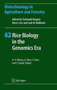 bokomslag Rice Biology in the Genomics Era