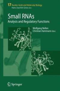 bokomslag Small RNAs: