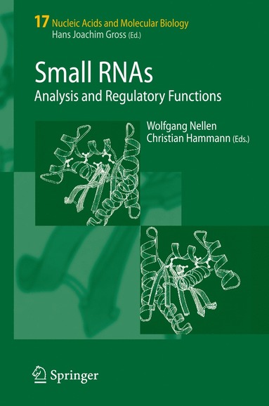 bokomslag Small RNAs: