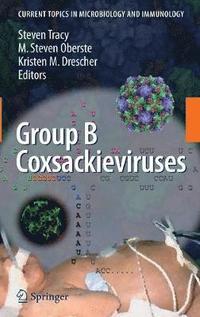 bokomslag Group B Coxsackieviruses