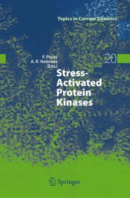 Stress-Activated Protein Kinases 1