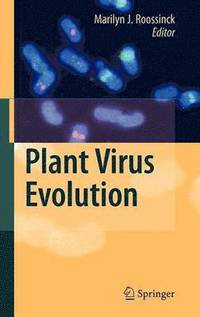 bokomslag Plant Virus Evolution