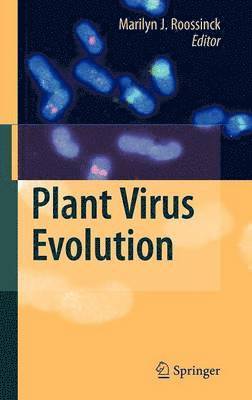 Plant Virus Evolution 1