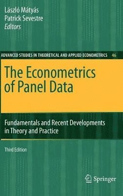 Lászlo Mátyás, Patrick Sevestre - Econometrics of Panel Data, Inbunden