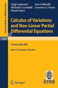 bokomslag Calculus of Variations and Nonlinear Partial Differential Equations