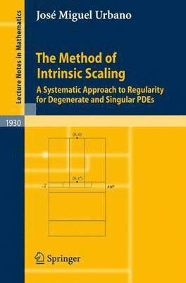 bokomslag The Method of Intrinsic Scaling