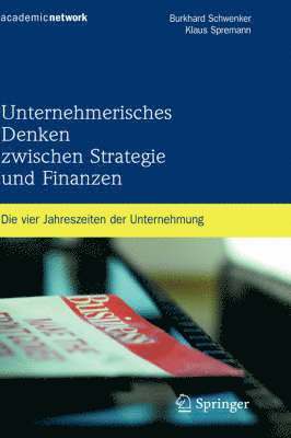 bokomslag Unternehmerisches Denken zwischen Strategie und Finanzen