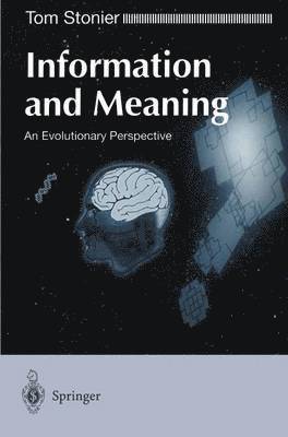 Information and Meaning