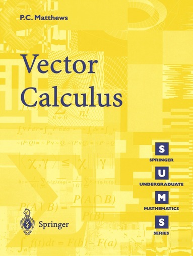 Paul C. Matthews - Vector Calculus, Häftad