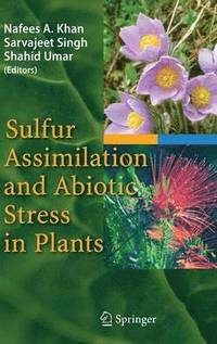 bokomslag Sulfur Assimilation and Abiotic Stress in Plants
