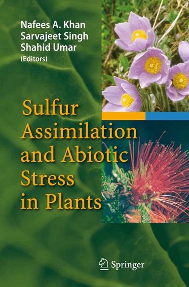 Nafees A. Khan, Sarvajeet Singh, Shahid Umar - Sulfur Assimilation and Abiotic Stress in Plants, Inbunden
