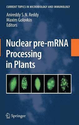 Nuclear pre-mRNA Processing in Plants 1