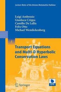 bokomslag Transport Equations and Multi-D Hyperbolic Conservation Laws
