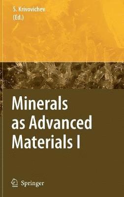 bokomslag Minerals as Advanced Materials I