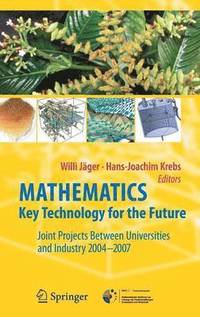 bokomslag Mathematics - Key Technology for the Future