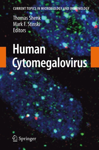 bokomslag Human Cytomegalovirus