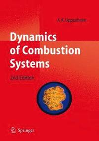 bokomslag Dynamics of Combustion Systems