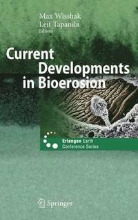 bokomslag Current Developments in Bioerosion