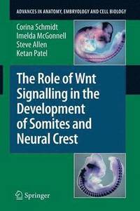 bokomslag The Role of Wnt Signalling in the Development of Somites and Neural Crest
