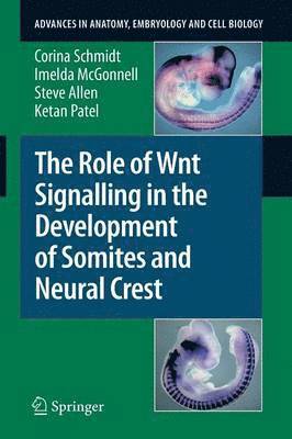 Corina Schmidt, Imelda McGonnell, Steve Allen, Ketan Patel - Role of Wnt Signalling in the Development of Somites and Neural Crest, Häftad