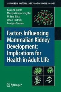 bokomslag Factors Influencing Mammalian Kidney Development: Implications for Health in Adult Life