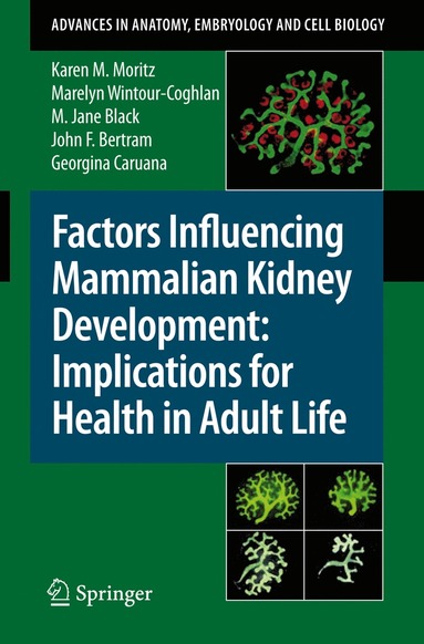 bokomslag Factors Influencing Mammalian Kidney Development: Implications for Health in Adult Life