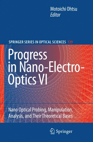 bokomslag Progress in Nano-Electro-Optics VI