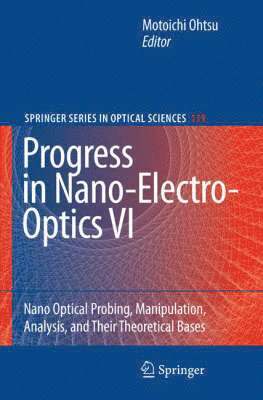 Progress in Nano-Electro-Optics VI 1