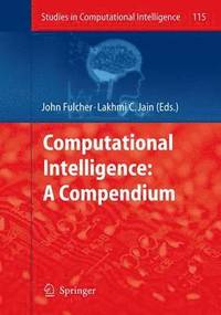 bokomslag Computational Intelligence: A Compendium