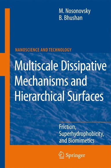 bokomslag Multiscale Dissipative Mechanisms and Hierarchical Surfaces