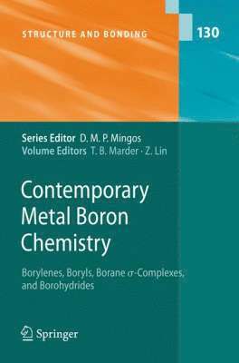 bokomslag Contemporary Metal Boron Chemistry I