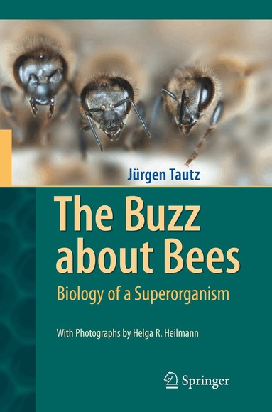 Jürgen Tautz - Buzz about Bees, Inbunden