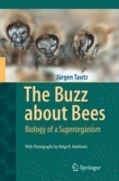 The Buzz about Bees 1