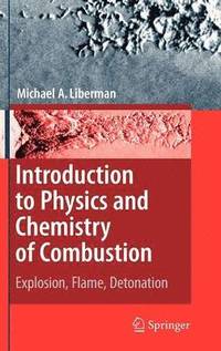bokomslag Introduction to Physics and Chemistry of Combustion