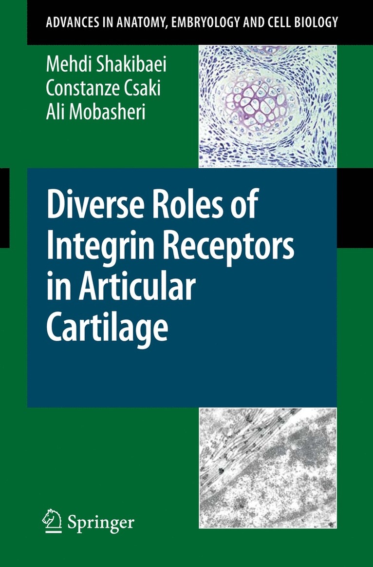 Mehdi Shakibaei, Constanze Csaki, Ali Mobasheri, M. Shakibaei, C. Csaki - Diverse Roles of Integrin Receptors in Articular Cartilage, Häftad